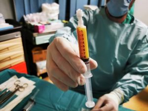 cellule-mesenchimali-300x225